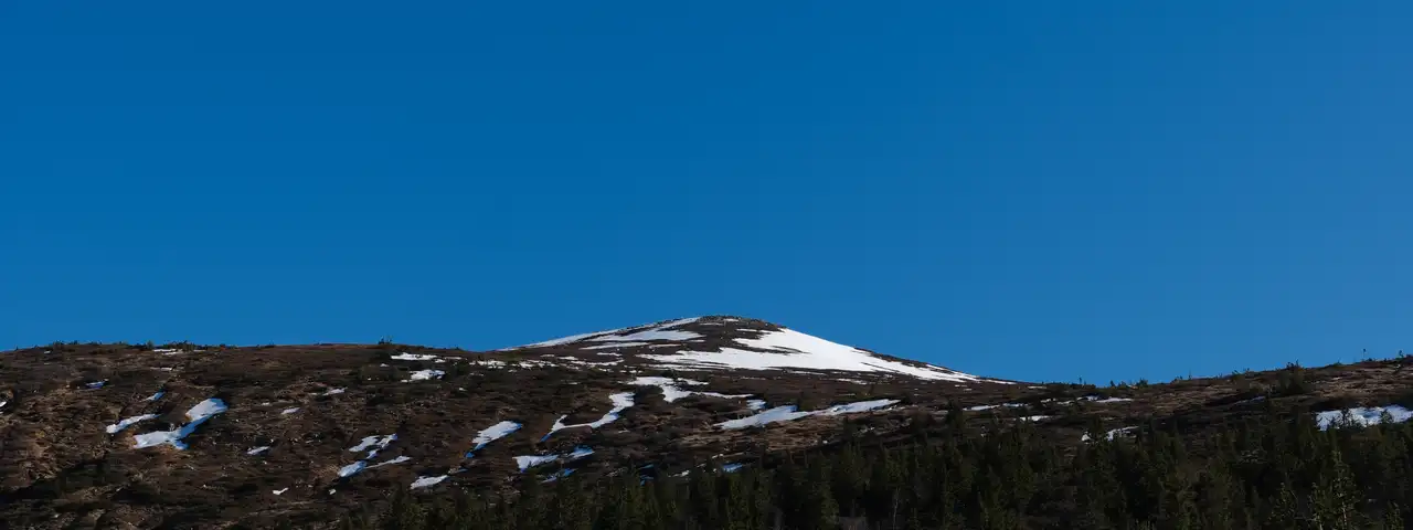 Bar fjelltopp med flekker av snø mot dyp blå himmel, med granskog nedover lia i forgrunnen.