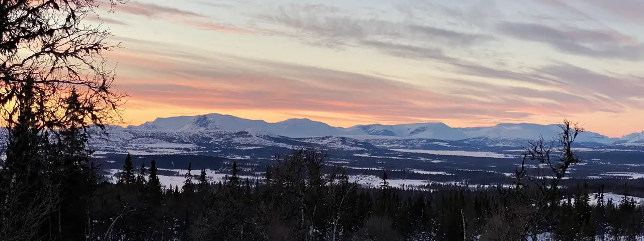 Snødekte fjell under en rosa vinterhimmel i solnedgang, med skog og snø i forgrunnen.