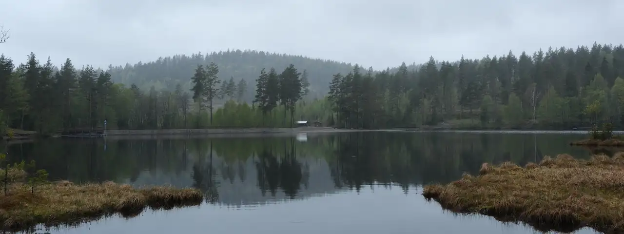 Stille skogsvann i gråvær, med en liten hytte mellom furuene på motsatt bredd og skogen speilet i vannflaten.
