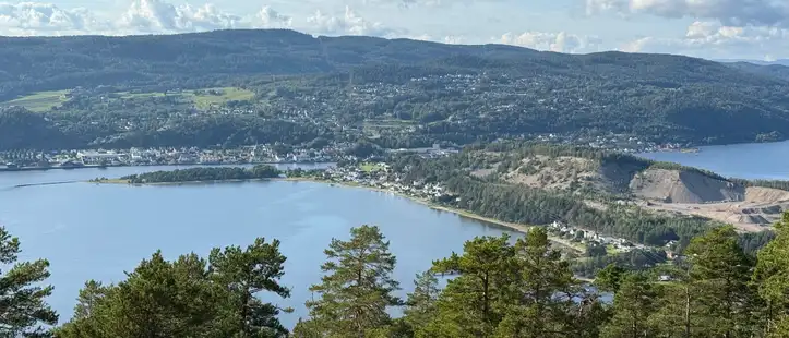 Utsikten fra Knivsfjellet på Hurumlandet: furutrær i forgrunnen, Drammensfjorden og bebyggelsen langs vannet under.