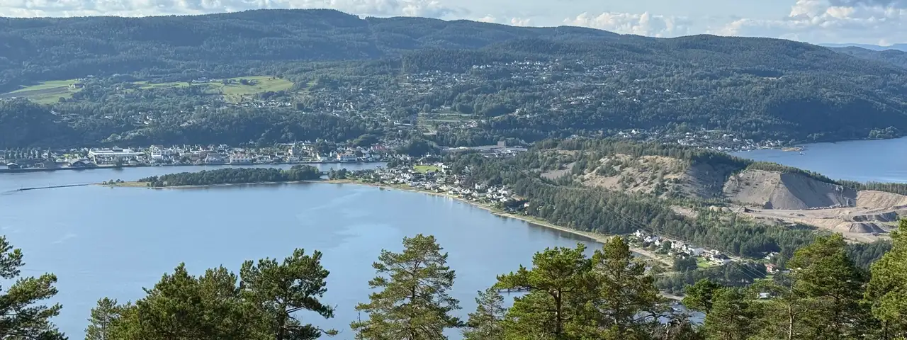 Utsikten fra Knivsfjellet på Hurumlandet: furutrær i forgrunnen, Drammensfjorden og bebyggelsen langs vannet under.